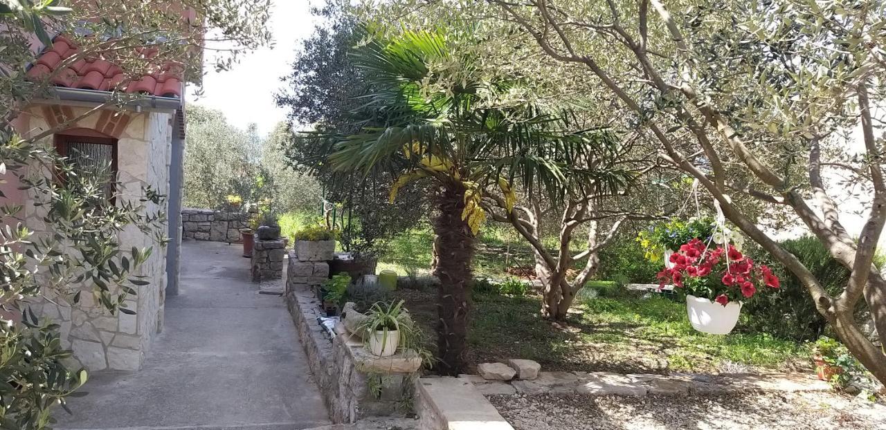 Apartman Rabatin Sveti Filip i Jakov Buitenkant foto